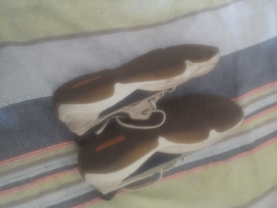 Sapatos / Sapatilhas TIMBERLAND