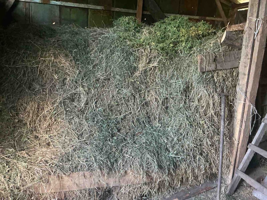 Продам заготовлене сіно