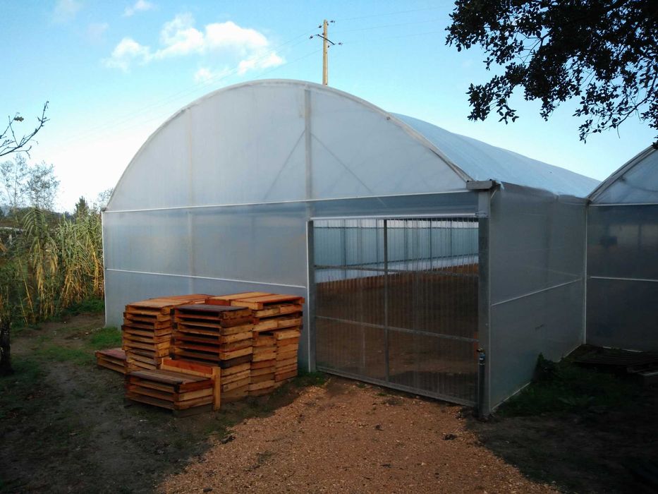 Estufa Agrícola 1675m2