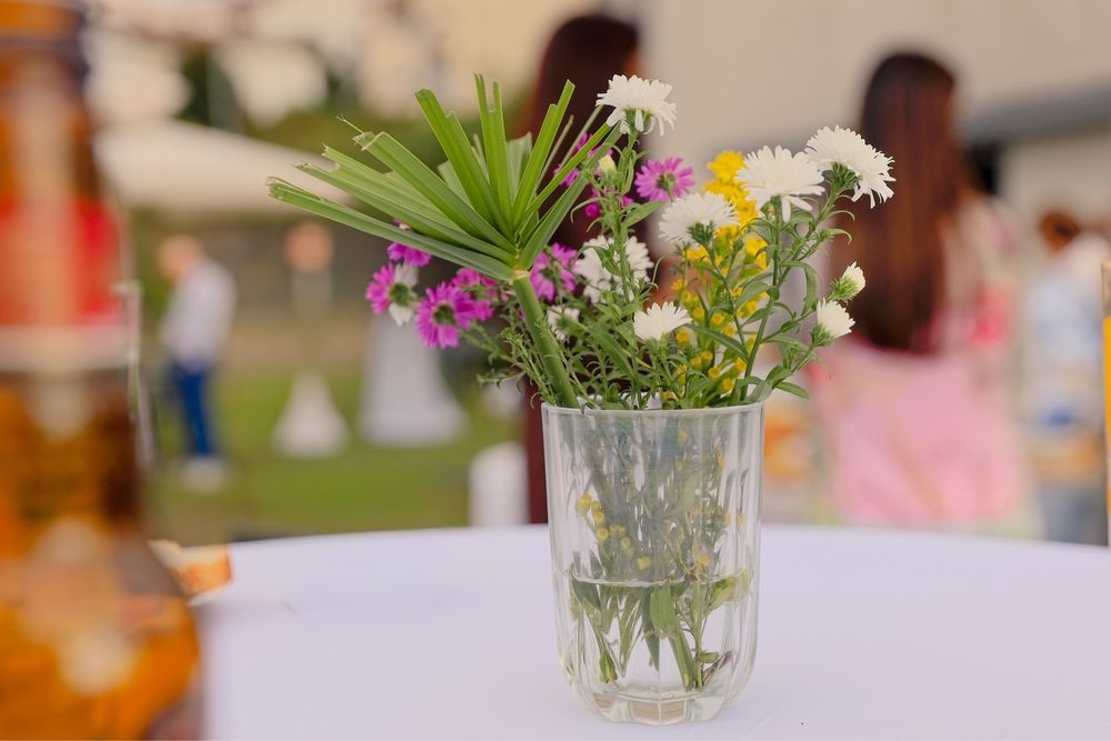 Aluguer de decoração para eventos