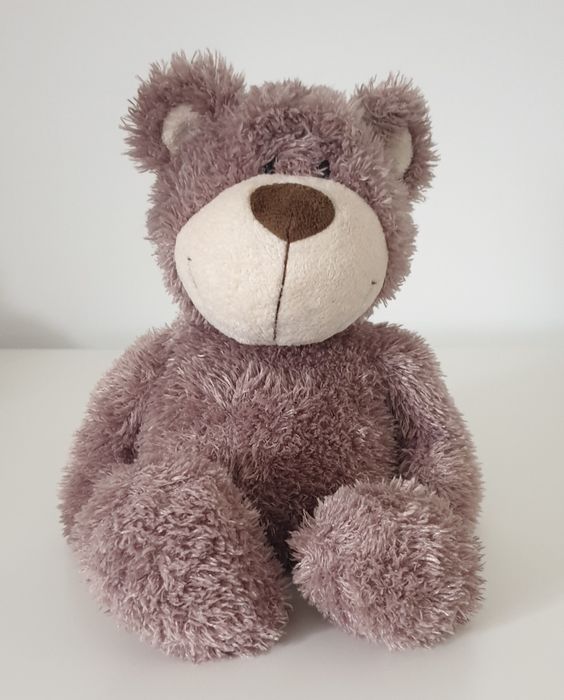 Urso de Peluche Médio da Nici