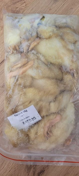 Mrozone kaczki jednodniowe