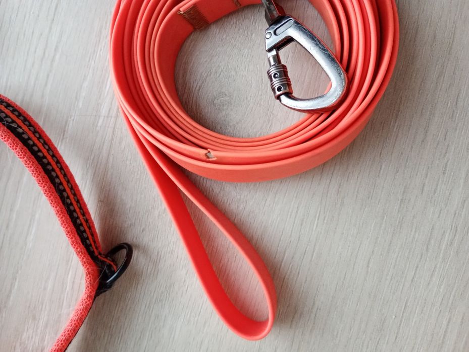 Повідок і шлея для собак