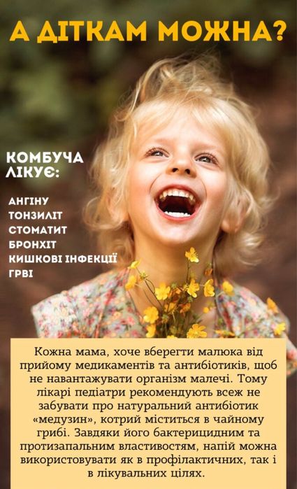 Чайний гриб, комбуча