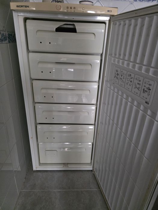 Arca Congeladora vertical