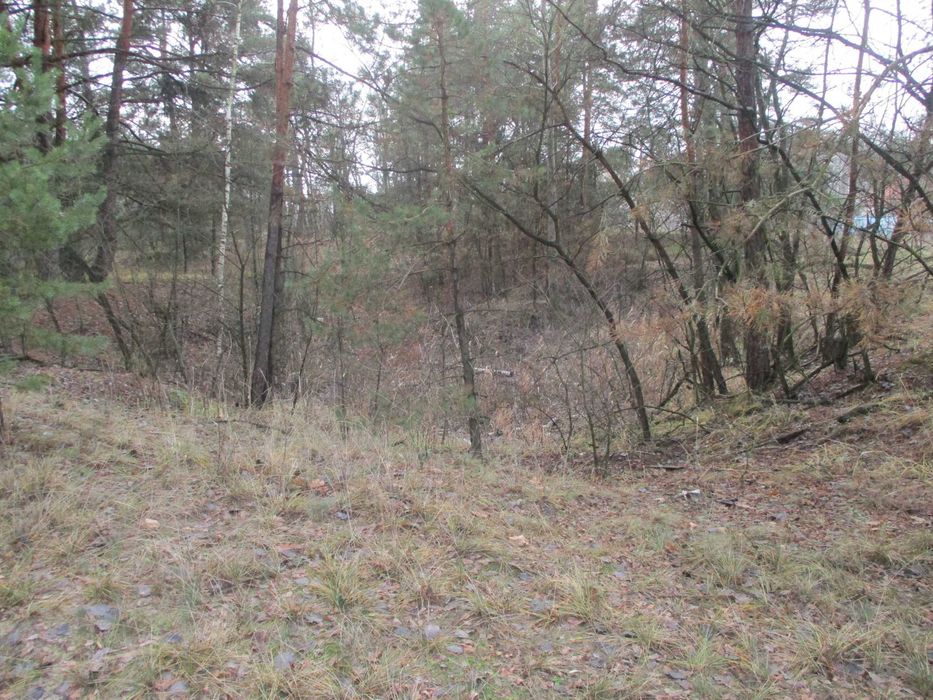 Продаж земельної ділянки 22,47 сот. Київська обл., с.Жукин  9100$