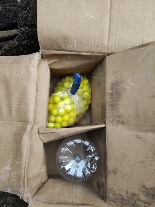 Paintball marker479259939769559041