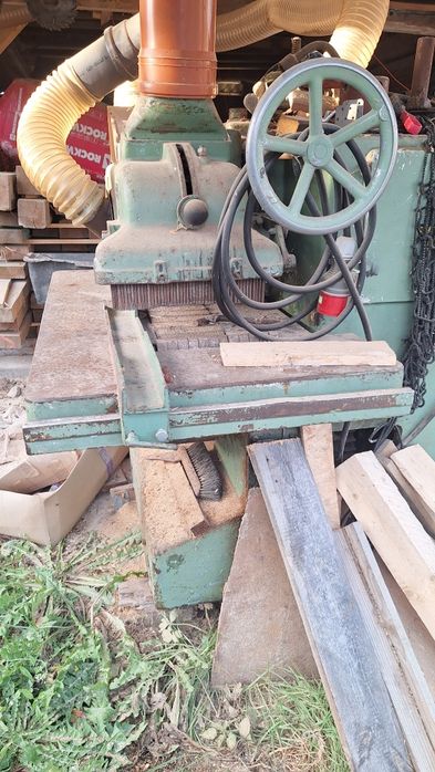 Wielopiła gąsienicowa