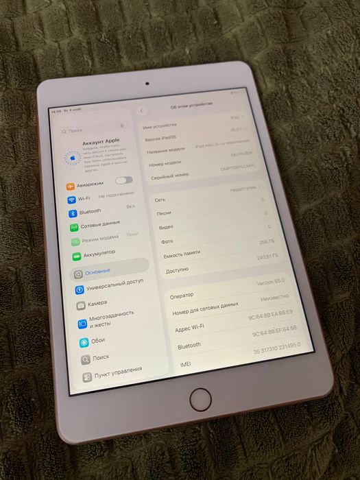 iPad Mini 5 256Gb