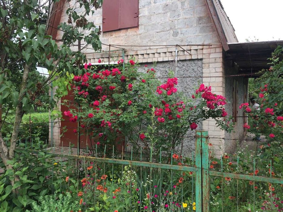 Продам дачу Садове товариство "Висотник" Довгинцівський район