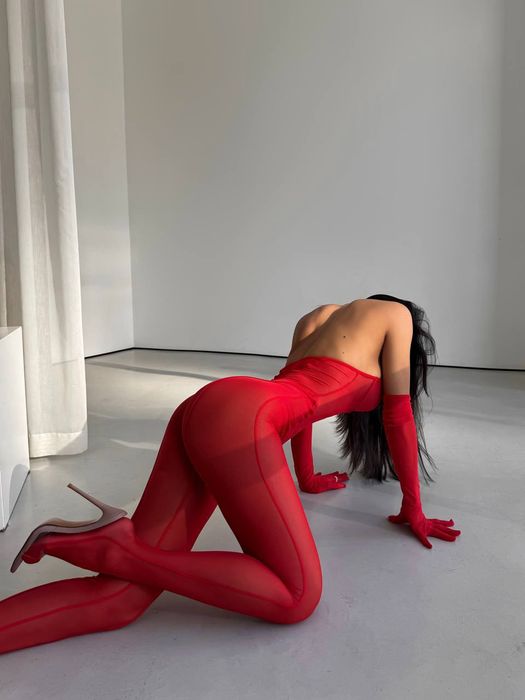 Бодістокінг,еротична білизна,фотосесія,білизна сітка,сексуальний образ