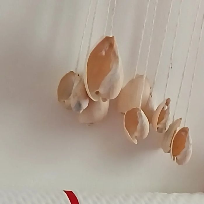 Mandala Branca Exclusiva