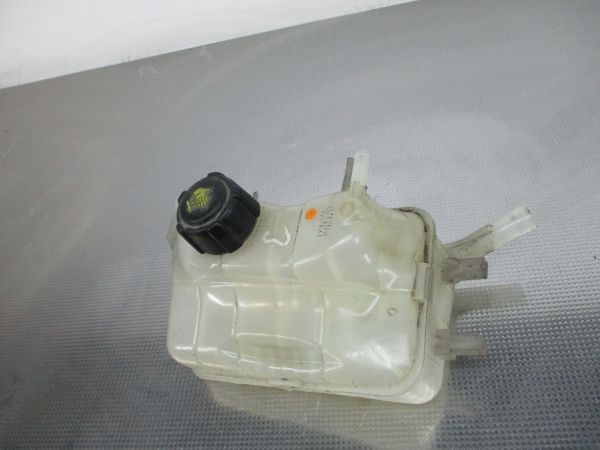Vaso Expansao / Radiador RENAULT Scénic III (JZ0/1_)
