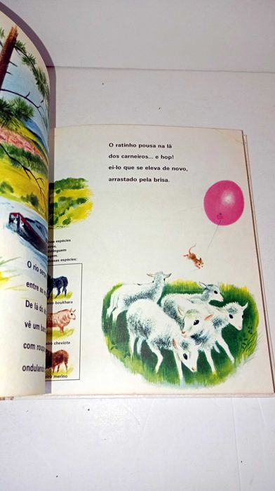 O ratinho no campo - família 2000