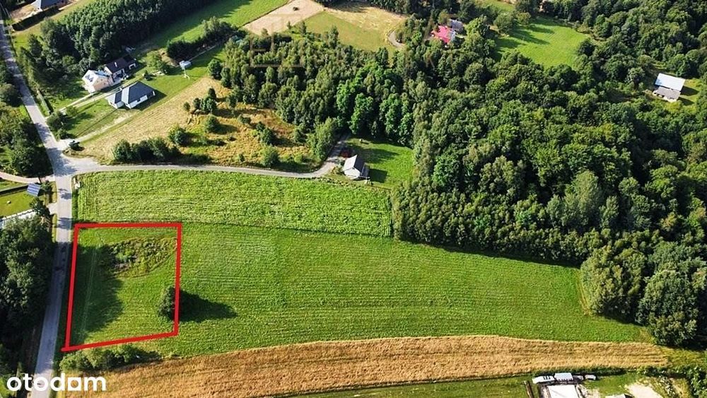 Borówki-Lasek, działka z WZ przy drodze powiatowej - Widok 3
