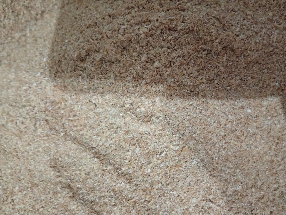 Висівка пшенична