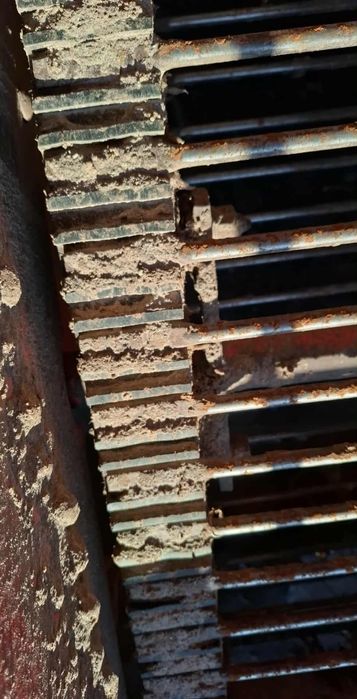 Kopaczka dwurzędowa  do marchwi ziemniaków cebuli