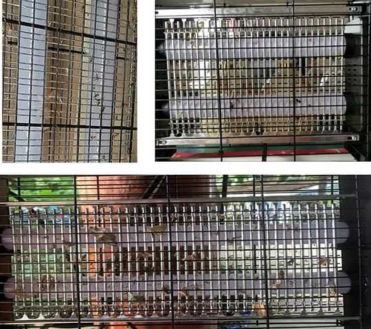 Пастка для мух,комарів електрична Лампа від комарів/ от мух, комаров