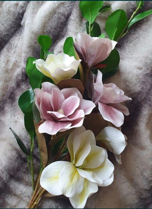 Kwiaty magnolii + gratis