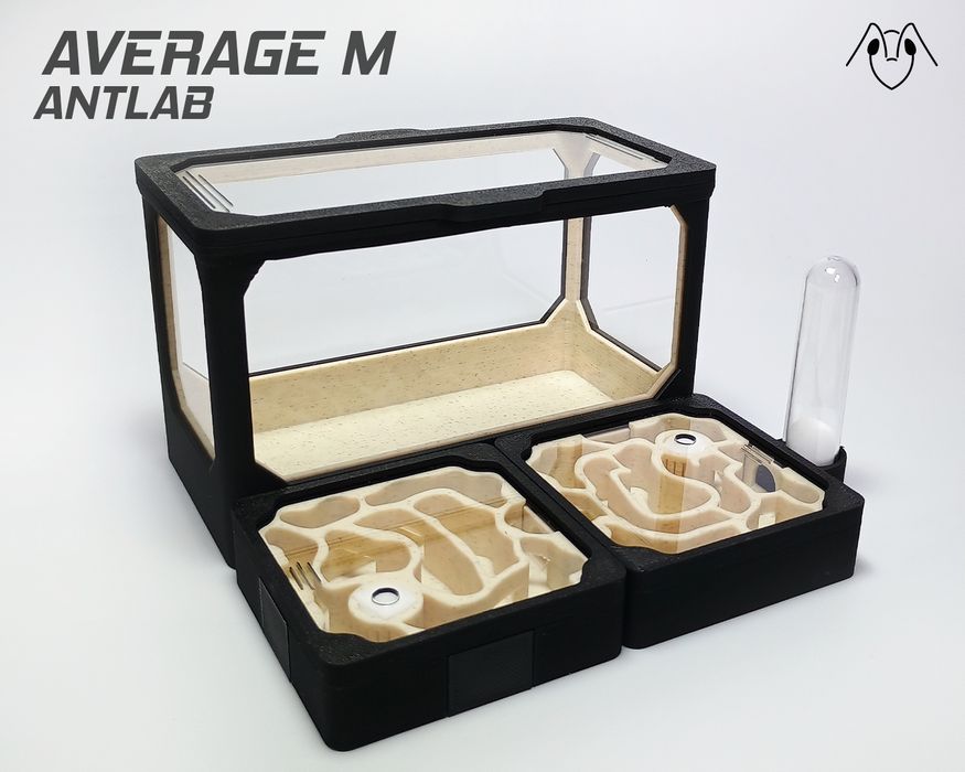 Formikarium AVERAGE M - Terrarium Dla Mrówek Modułowe 140x140