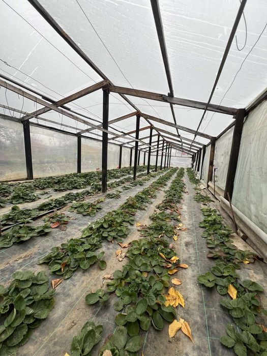 Продається будинок