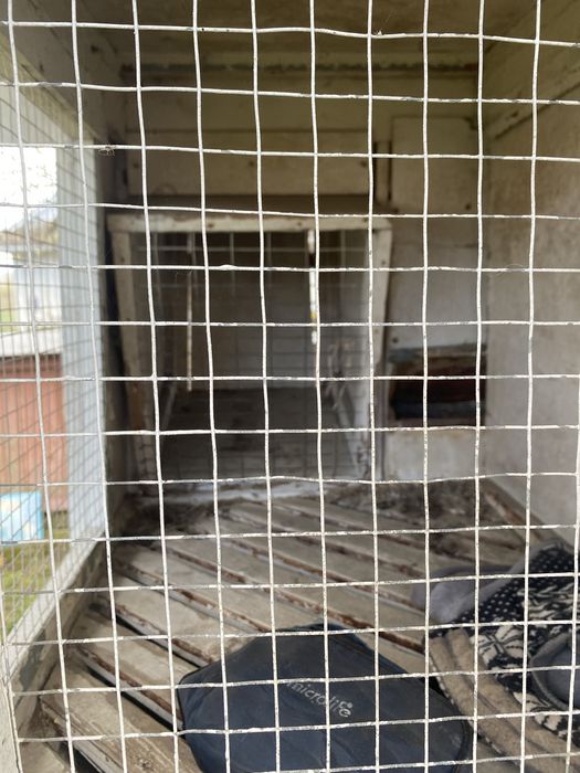 Продам клітку для кролів
