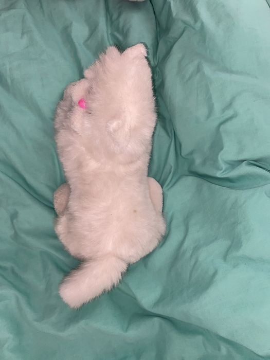 Мʼяка іграшка. Милий, білий котик