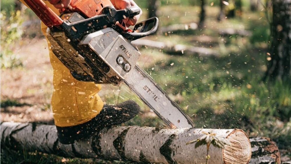 Wycinka drzew | Usuwanie pni | Porządkowanie działki – Dolnośląskie