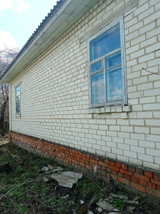 Садиба біля річки Десна. Село Ковчин.