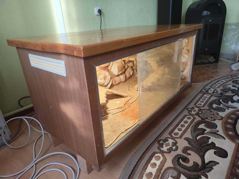 Terrarium do agamy brodatej