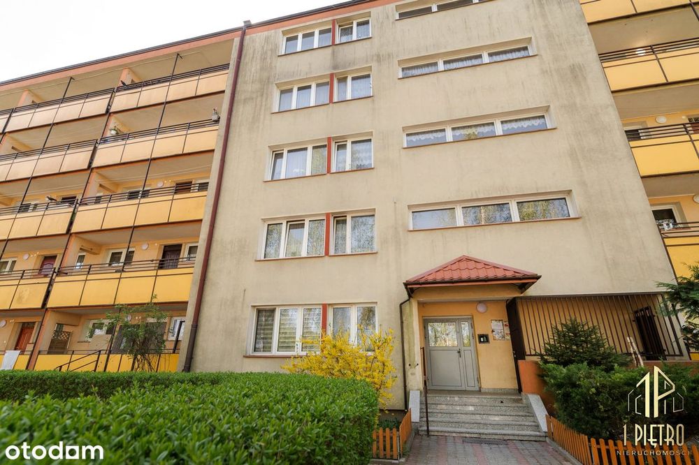 ✮ Solidne ✮ Gotowe do zamieszkania ✮ 3 niezależne pokoje ✮