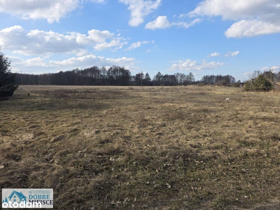 Działki budowlane nad jeziorem – Kornelin