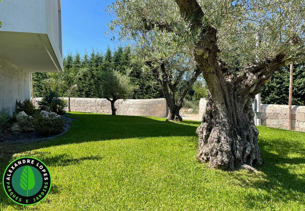 Produtor de relva natural, envios para todo o país