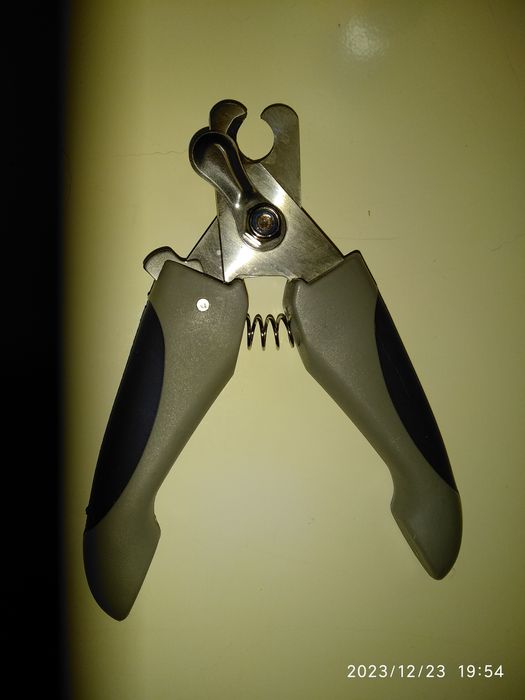 Acessórios para gato ou cão pequeno