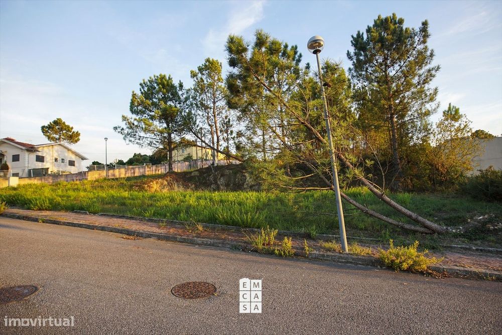 Lote de Terreno  Venda em Pinheiro da Bemposta, Travanca e Palmaz,Oliv