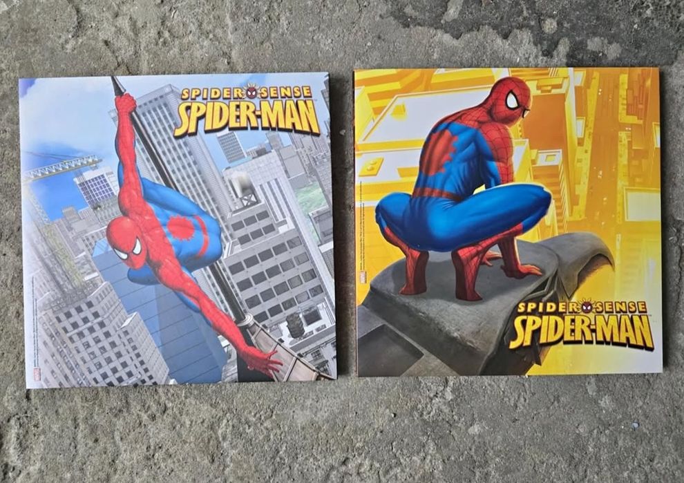 2 Quadros Spider man