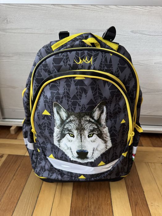 Дитячі рюкзати ReyBag, для хлопчика і для дівчинки