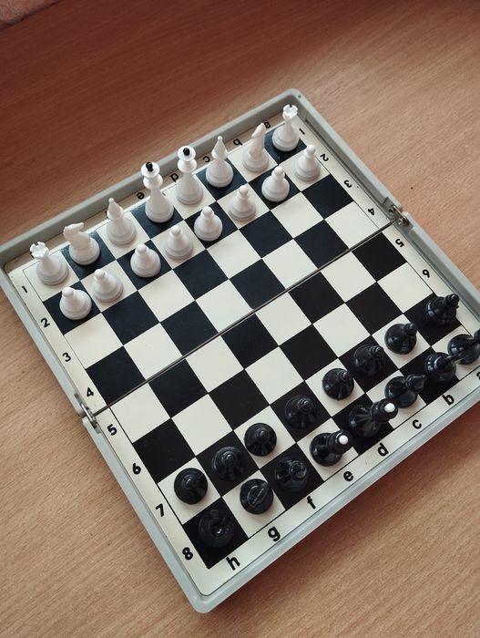 Шахматы магнитные