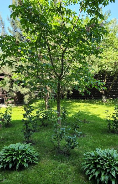 2-комнатная квартира по адресу ул. Васильковская (площадь 60 м²) - Atlanta.ua - фото 11