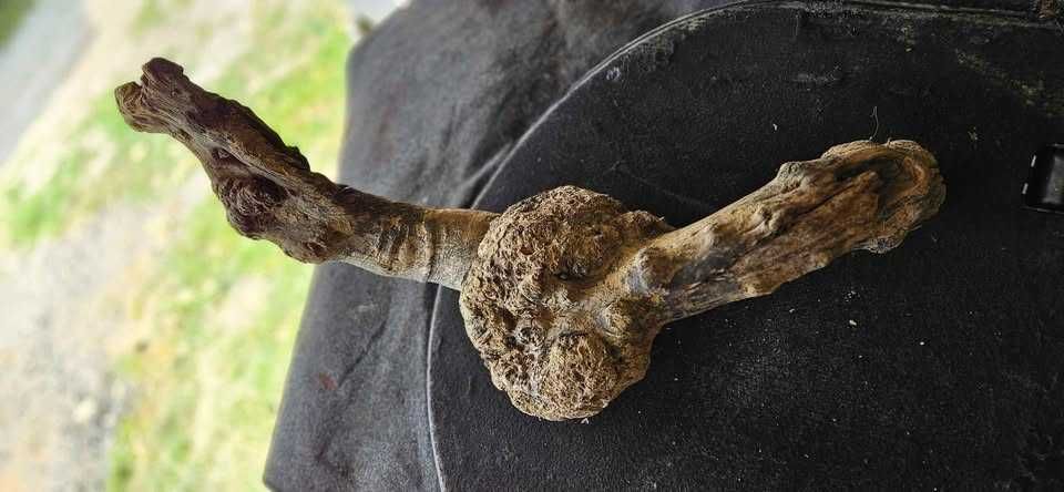 Korzenie ozdobne duże na ścianę lampę , elewacje dekoracyjne stylowe