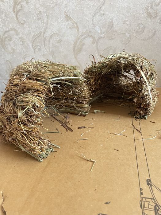 Продам клітки для щура / хом’яка + аксесуари