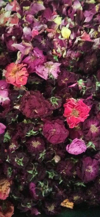 Лекарственные травы ...цветы ,травы для чая