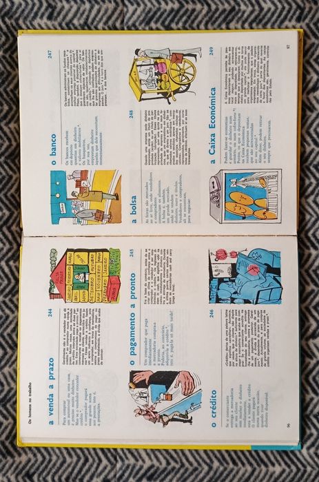Livro Ilustrado  O QUE É ? ( palavras explicadas )