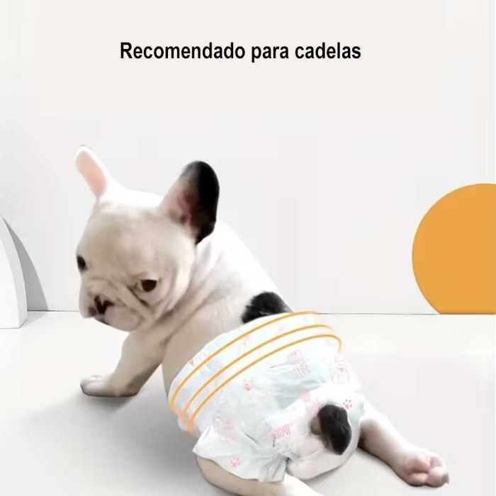 Fraldas para cadelas 2-5 kg