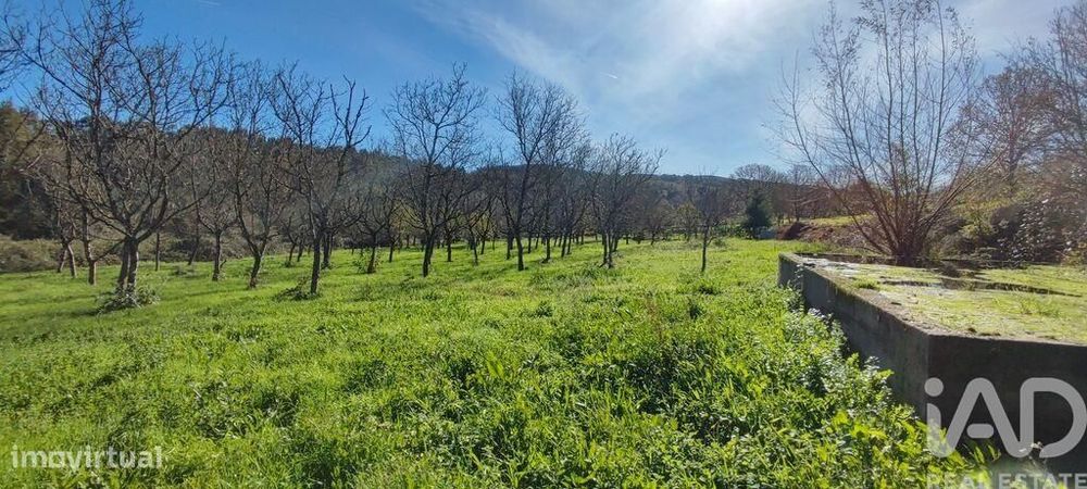 Terreno em Mões de 7026,00 m2