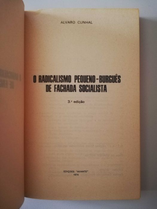 Radicalismo Pequeno Burguês de Fachada Socialista