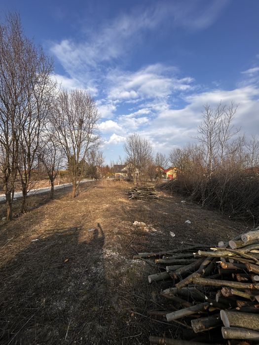 Wycinka drzew , koszenie trawy , prace ogrodnicze