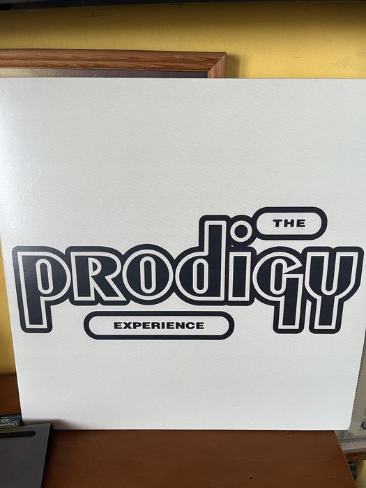 The Prodigy „Experience”