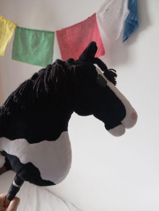 Hobby horse AES Black Moon opis!