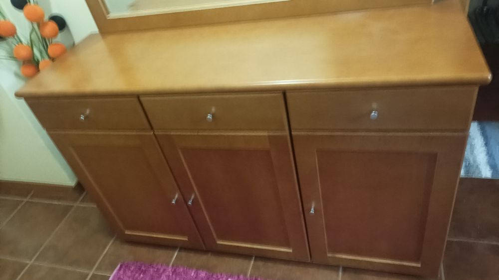 Móveis em bom estado com sapateira e com espelho